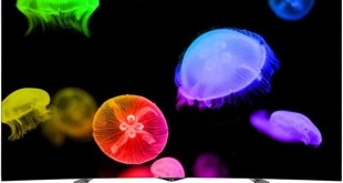 Manuale italiano Lg Smart TV OLED UHD 4K 3D 65" Curvo 65EC970V