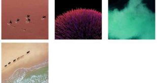 Nexus 2016 Sfondi Suonerie Notifiche Download