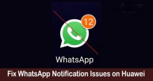 Notifiche whatsapp non funzionano